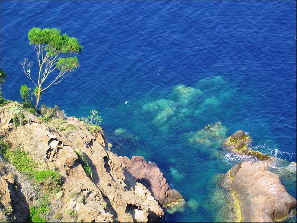 Vacanceole - Les Calanques Du Parc Fréjus Eksteriør bilde